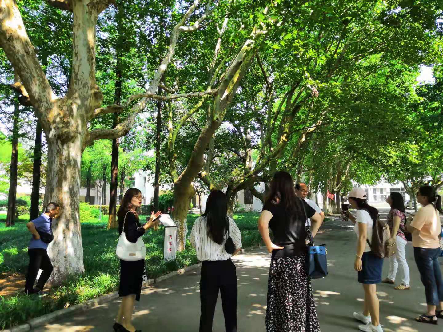 英国正版365官方网站